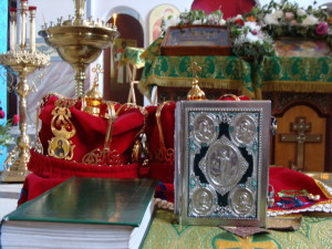 DSC05229